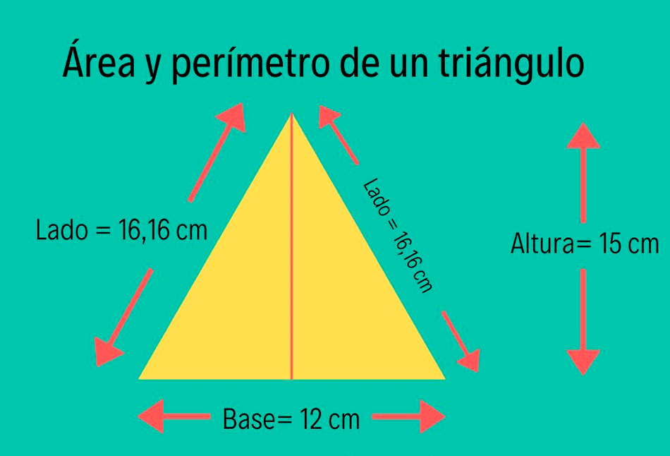 físico cúbico experimental Sabes calcular el área y el perímetro de un triángulo? - Yo Soy Tu Profe