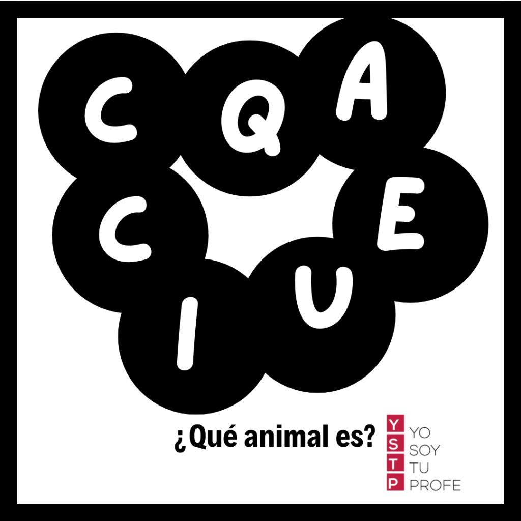 un animal